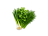 Greens & Fresh Herbs