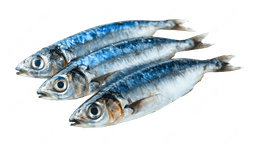 Seafood