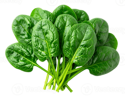 Greens & Fresh Herbs