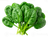 Greens & Fresh Herbs